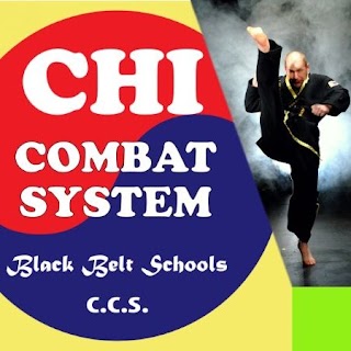 Croydon Chi Combat Holistic Academy