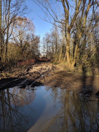 Broadwater Lake Nature Reserve