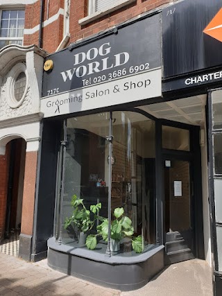 Dog World Grooming