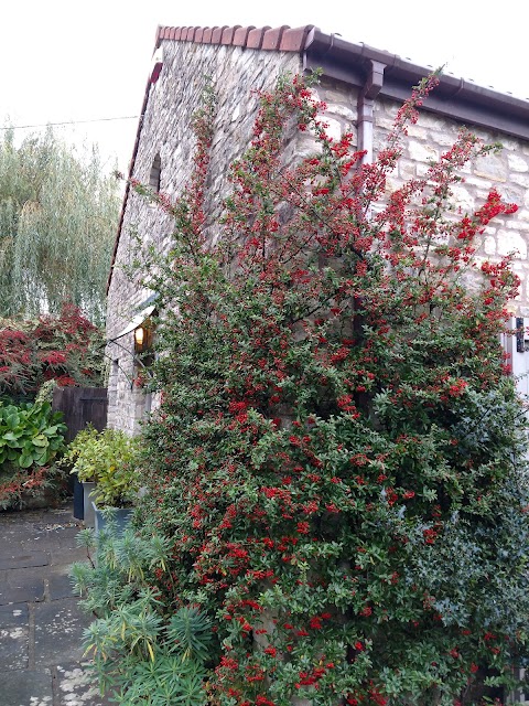 The Apple Shed Bath