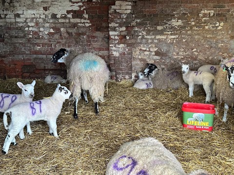 Baa Hill Farm Shop