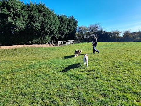 Horsepool Farm Dog Park