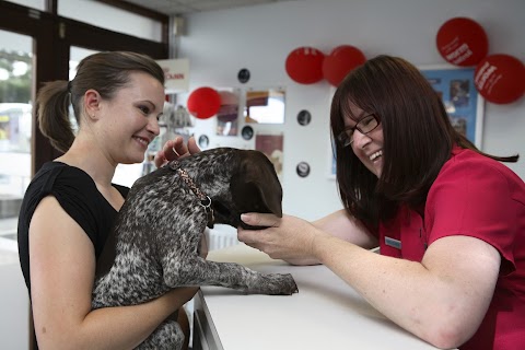 Best Friends Veterinary Surgery