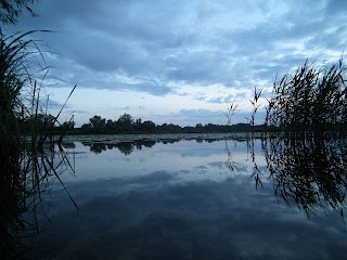 RSPB Rockland Marshes