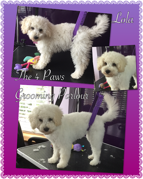 The 4 Paws Grooming & Boarding Services