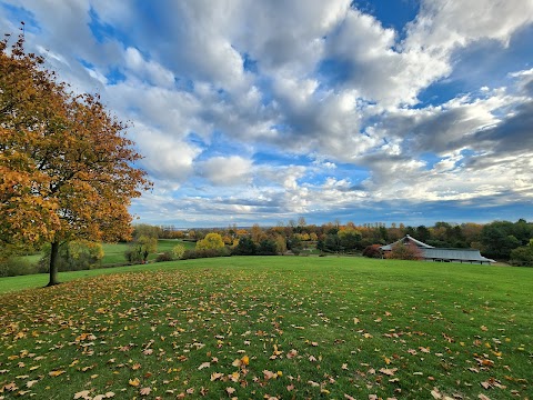 Willen Lake Maze