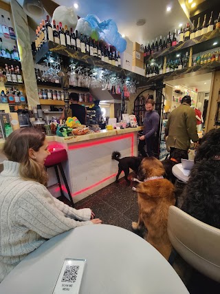 Verve London Pet Boutique & Cafe