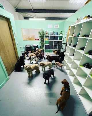 Winstons Doggy Day Care Leith