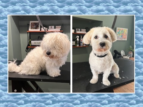 Perfect Paws Dog Grooming