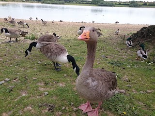 Pitsford Reservoir