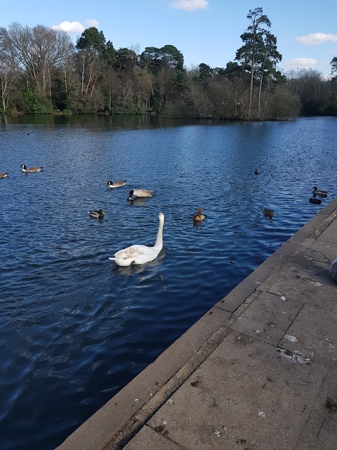 California Country Park