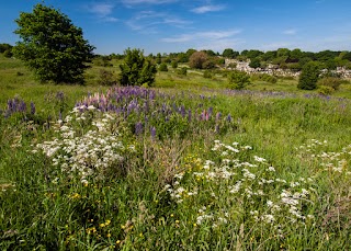 Manor Fields Park