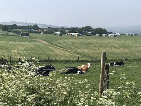 Chalky Downs Campsite