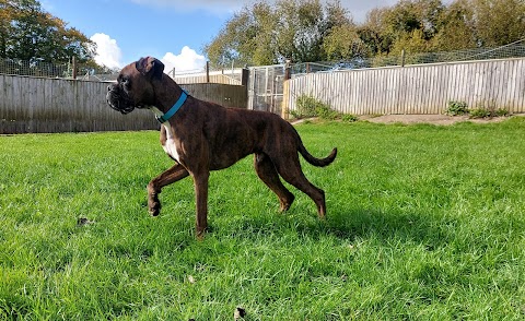 Woodborough Gardens Kennels & Catteries