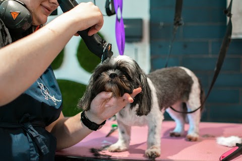 The Hound Ville East Bierley - Luxury Dog Grooming Spa