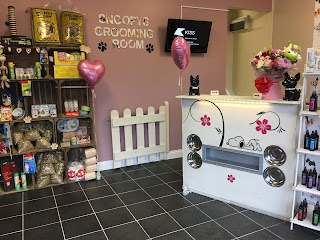 Snoopy's Grooming Room