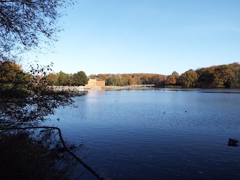 Rufford Abbey Country Park