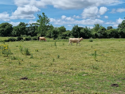 Birch Bank Farm Caravan & Campsite