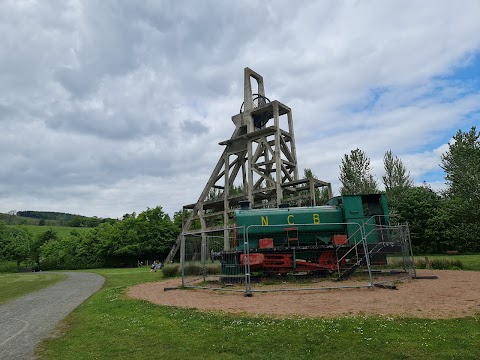 Lochore Meadows