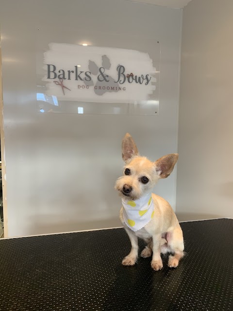 Barks & Bows Dog Grooming