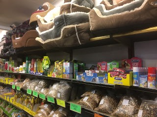 Buywise Pet Supplies