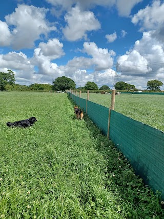 Off the Leash Dog Parks