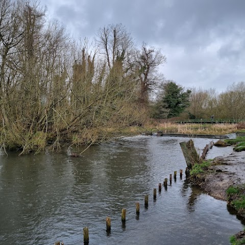 Cassiobury Park