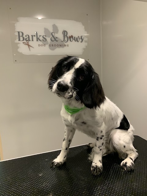 Barks & Bows Dog Grooming