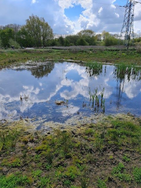 Aylestone Meadows Local Nature Reserve