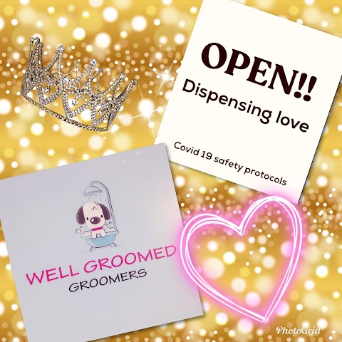 WellGroomed Groomers & Pet Boutique