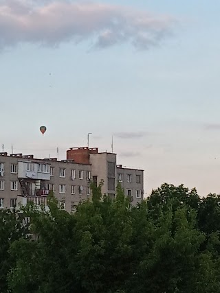 Луцьке підприємство електротранспорту