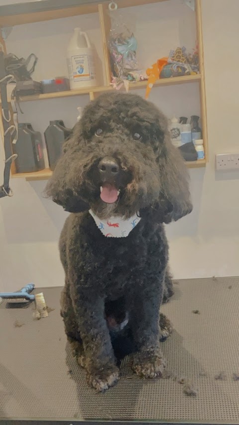 Doodle Lu's Dog grooming