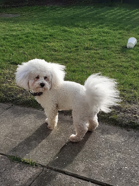 Happy Paws Dog Groomers