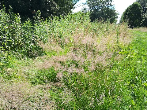 Maun Valley Park