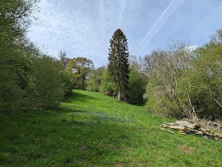 Colerne Park and Monk's Wood