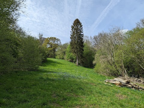 Colerne Park and Monk's Wood