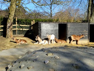 Hazlehead Park Pets Corner