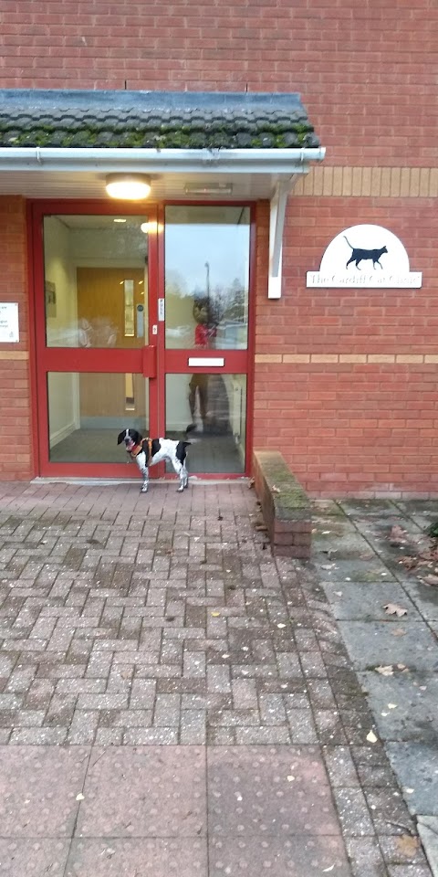 The Cardiff Cat Clinic