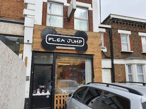 Flea Jump