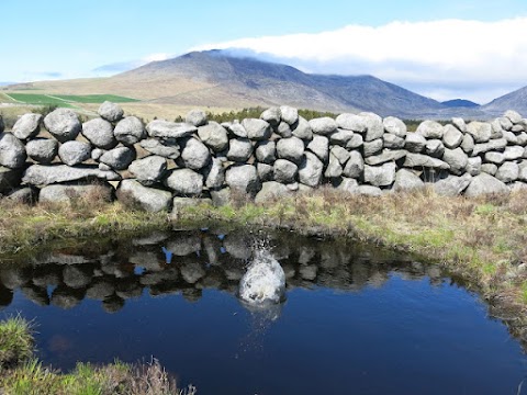 The Mourne Lodge