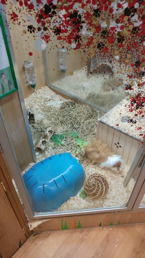 Pets at Home Cardiff Ty Glas