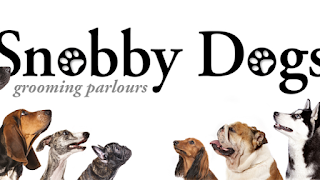 Snobby Dogs Grooming Parlour Ltd