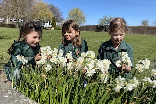 Ditcham Park School