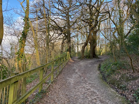 Dibbinsdale Nature Reserve