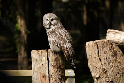 Bridlington Animal Park