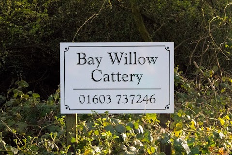 Bay Willow Cattery