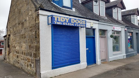 Tidy Dogs ltd