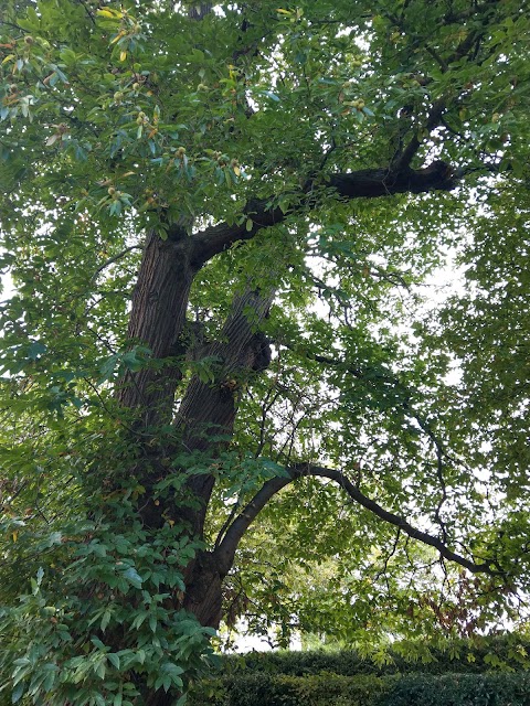 Oatlands Park Recreation Ground