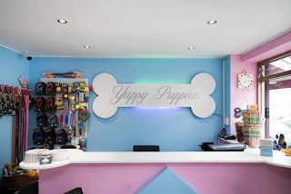 Yuppy Puppies - Pet Groomer & Shop