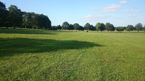 Town Field Primary School